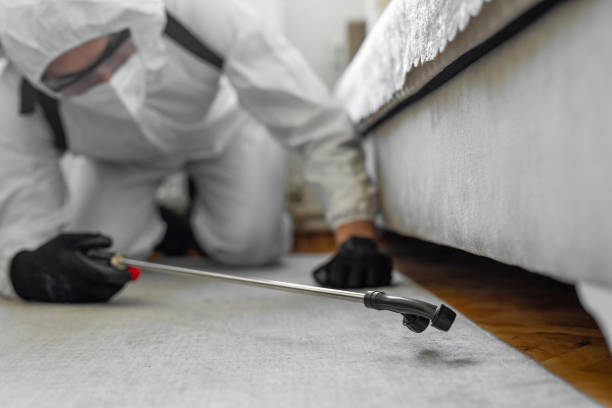 Professional Bed Bug Control technician working in Richlandtown, PA