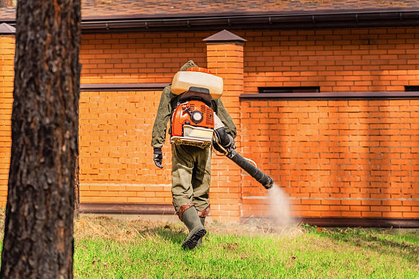 Trusted Ant Control service in Richlandtown, PA - Nex Pest Control